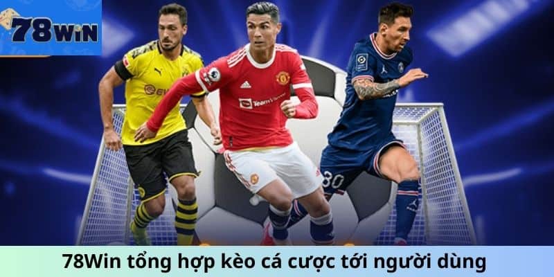 78Win tổng hợp kèo cá cược tới người dùng 